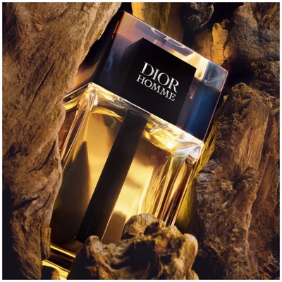 PERFUME DIOR HOMME MASCULINO EDT 100ML - Imagem 3