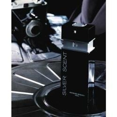 PERFUME JACQUES BOGART SILVER SCENT MASCULINO EDT 100ML - Imagem 2