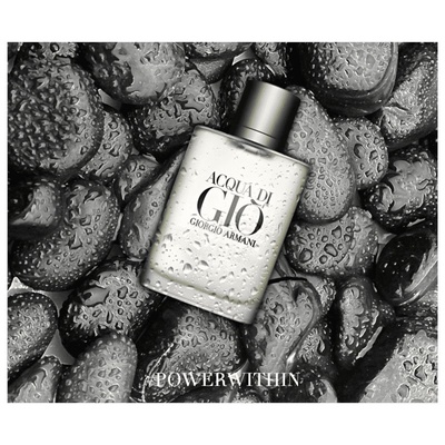 PERFUME GIORGIO ARMANI ACQUA DI GIÓ MASCULINO EDT 100ML - Imagem 2