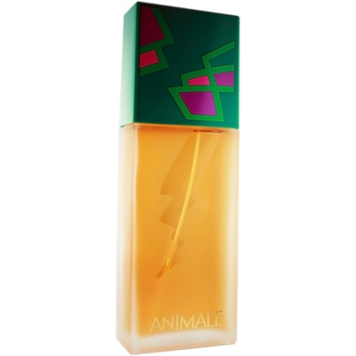 PERFUME ANIMALE FEMININO EDP 100ML - Imagem 3